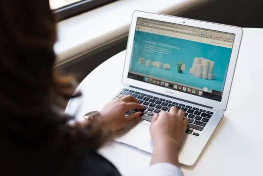 person reviewing browser privacy and security settings