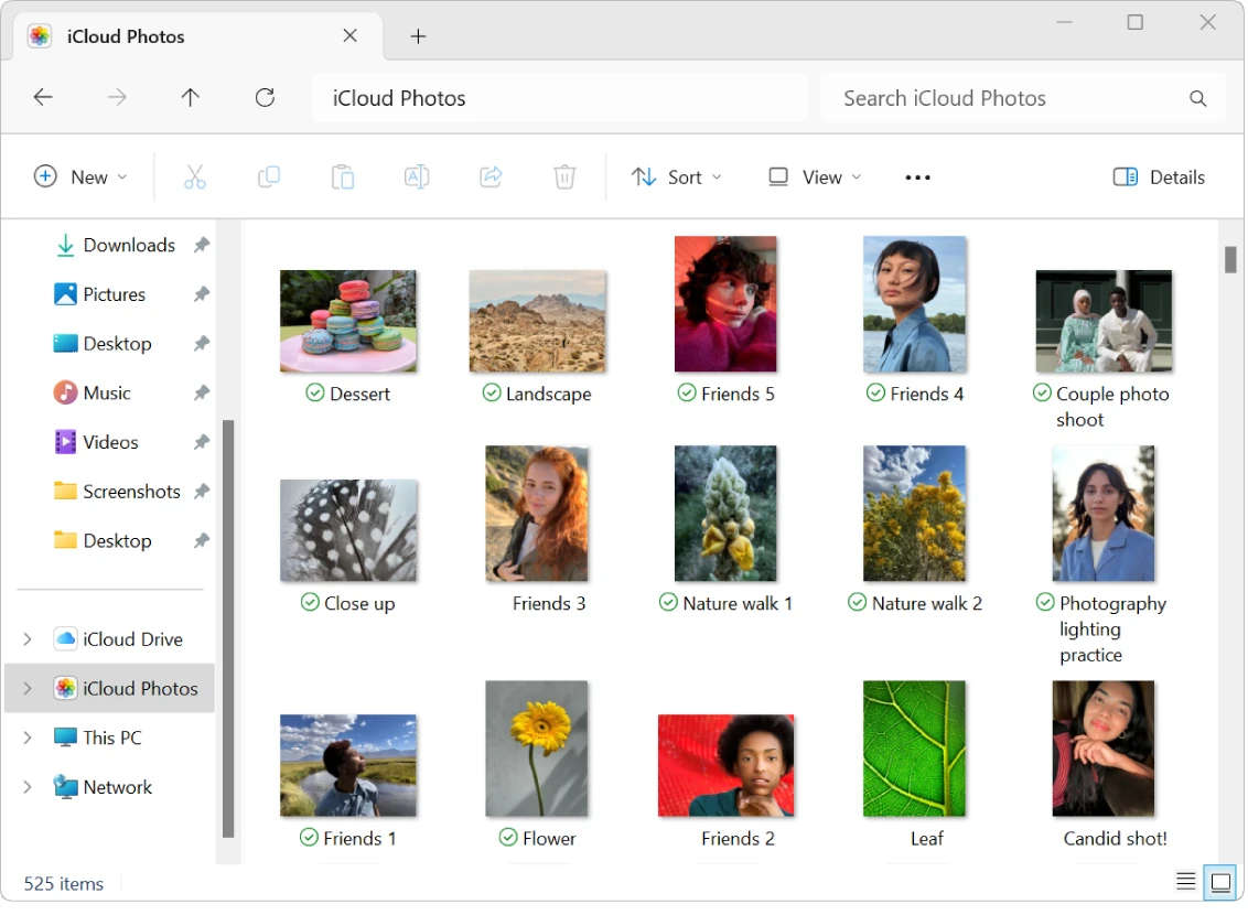 Windows용 iCloud 파일 탐색기 사진 폴더 화면